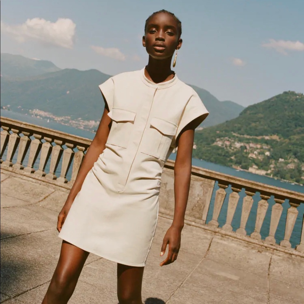 Zara darted Ruched button down mini dress